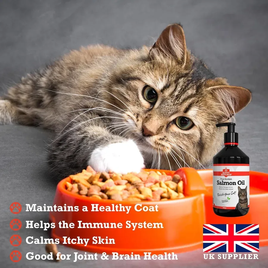 Kitty Ketchup: Kitty Ketchup salmon oil