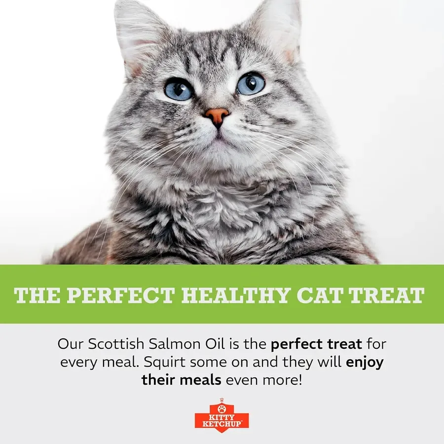 Kitty Ketchup: A mealtime treat