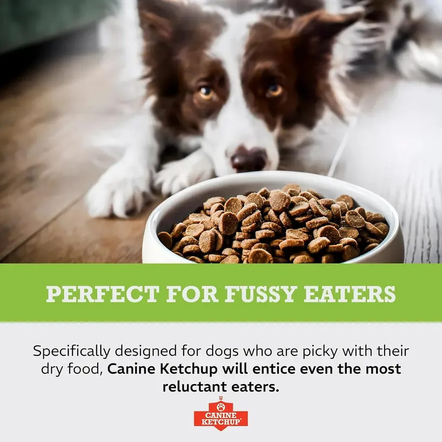 Canine Ketchup: Perfect for fussy eaters