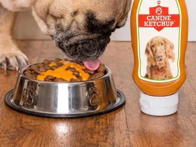Canine Ketchup squeezed over a bowl of kibble next to the bottle